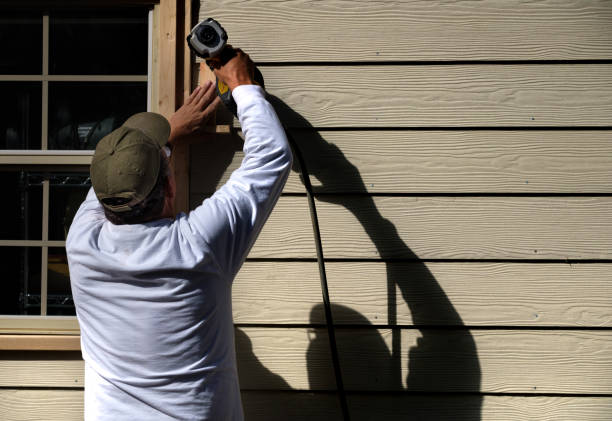 Best Siding Replacement  in Strasburg, VA